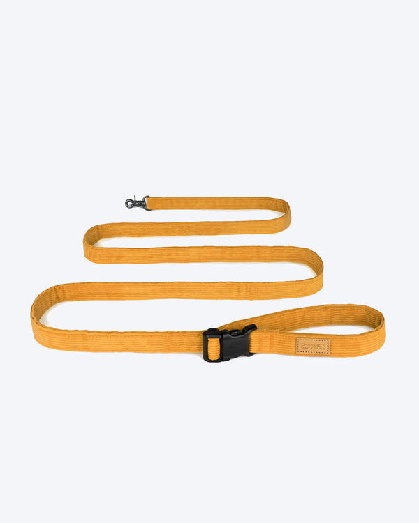Yellow/Mustard dog leash. Strong leash, corduroy.