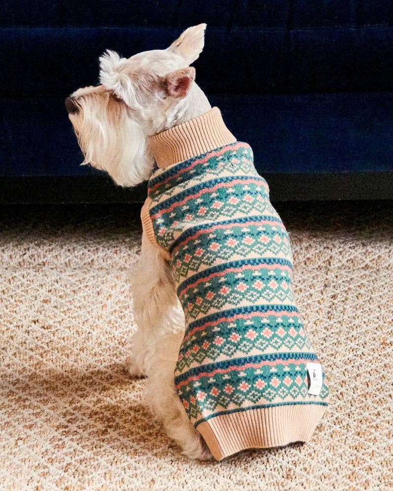 DEMY LEE WOOL JACQUARD SWEATER by Nooee Pet