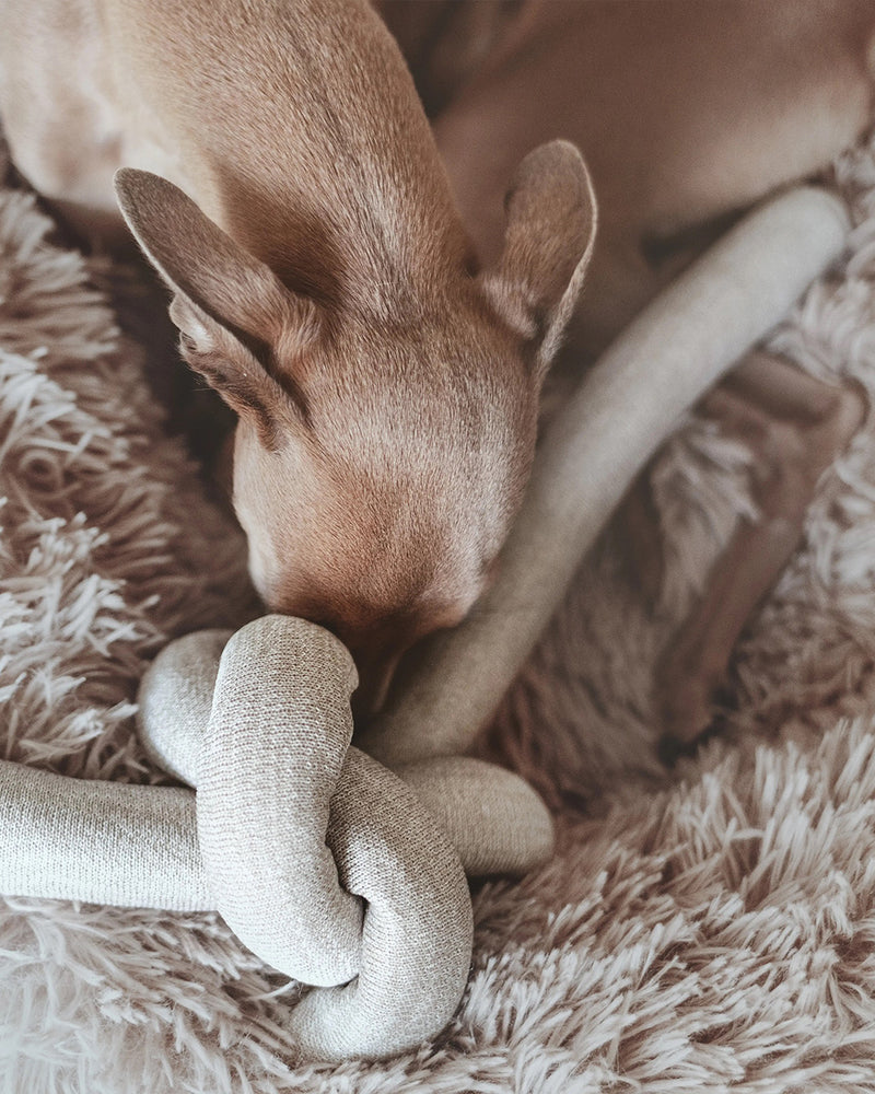 Cotton tan NOU by Lambwolf Collective. Long rope toy tied into a knot. Shown with a puppy.