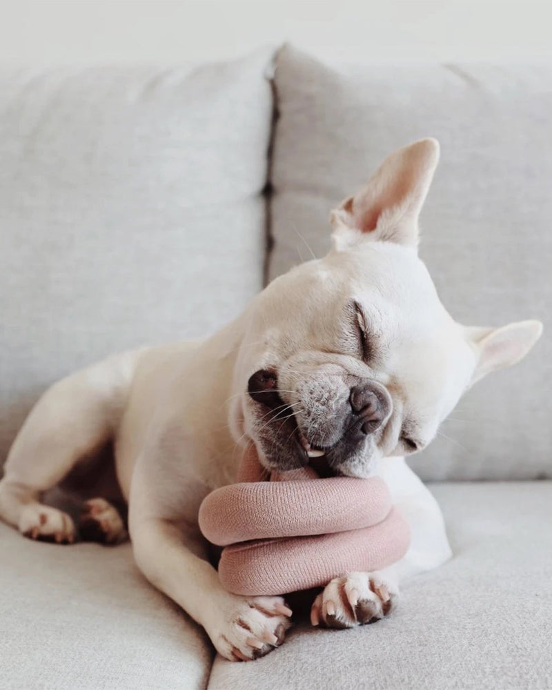 Pink NOUNOU by Lambwolf Collective. A long versatile toy tied into a knot. Pictured with white Frenchie.