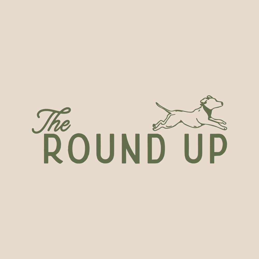 The Round Up: Small Change, Big Impact