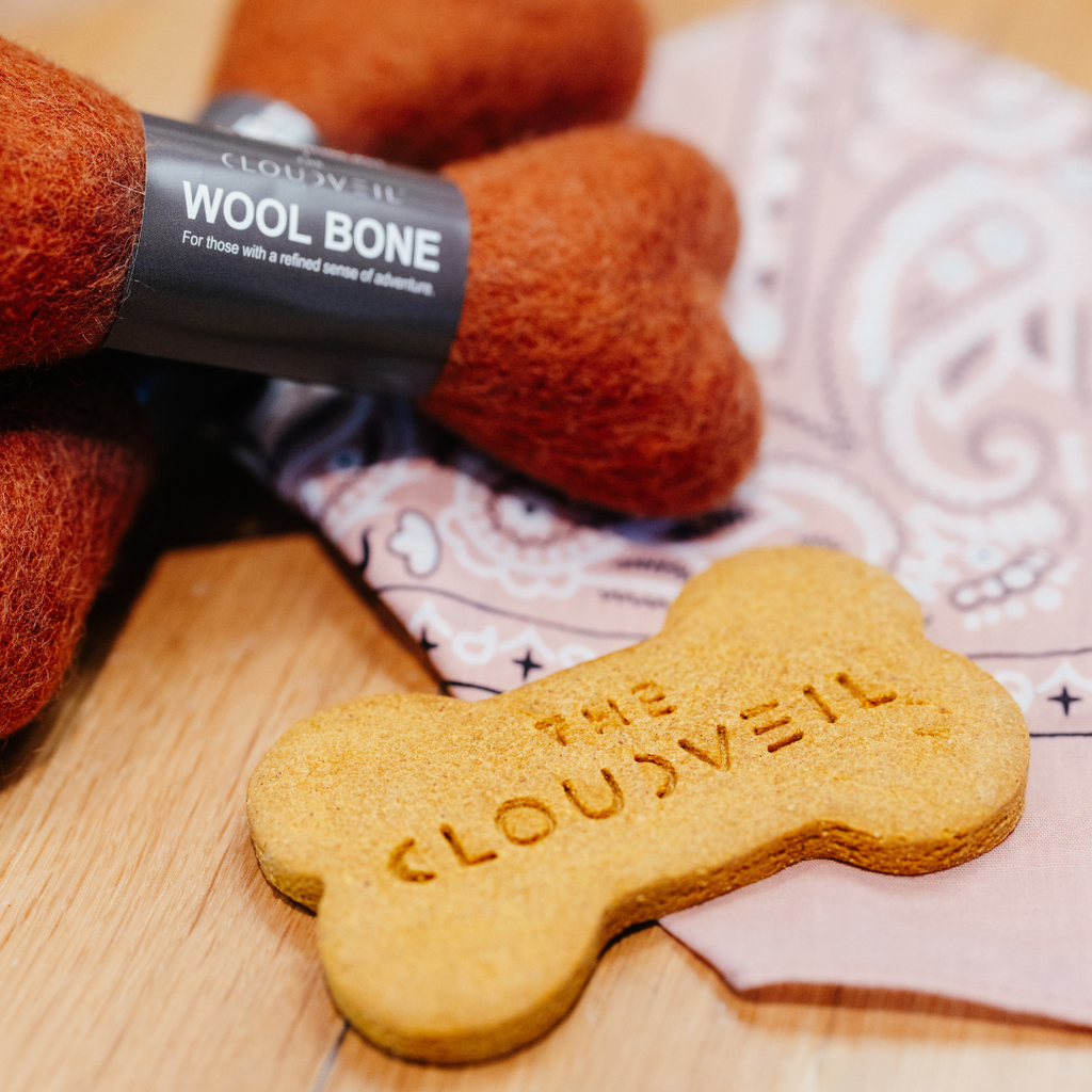 Adventure Awaits: MODERNBEAST x The Cloudveil