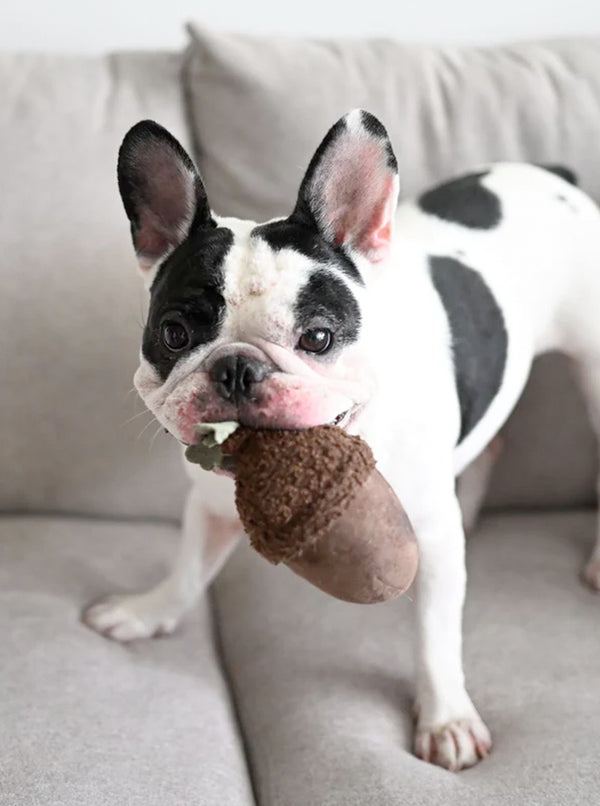 ACORN ENRICHMENT DOG TOY by Lambwolf Collective