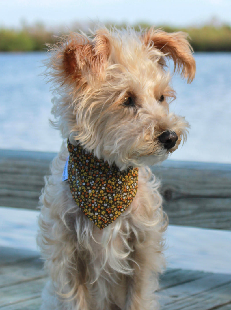 WINTER BANDANA