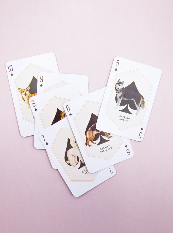 DOG + CAT PLAYING CARDS