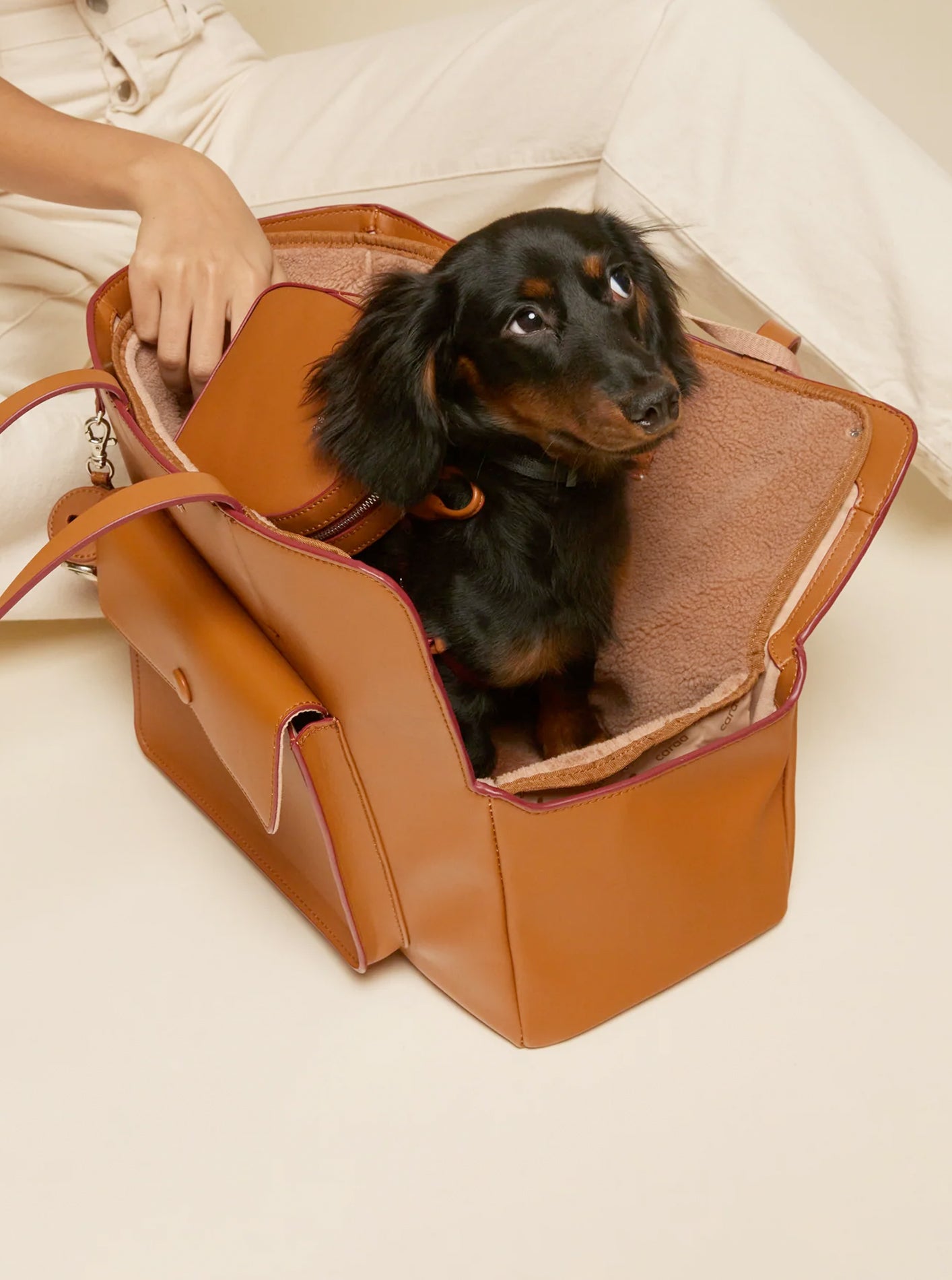 PET CARRIERS – MODERNBEAST