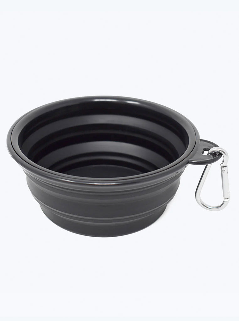 COLLAPSIBLE BOWL
