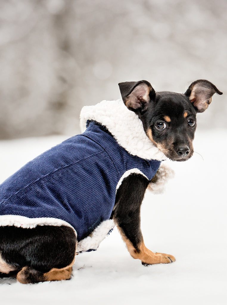 CORDUROY CLASSIC COAT