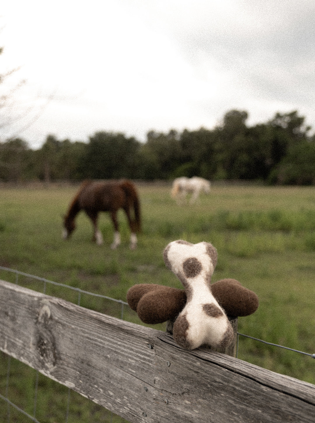 Cow Sploot MB x House of Sploot WOOLBONE DOG TOY – MODERNBEAST