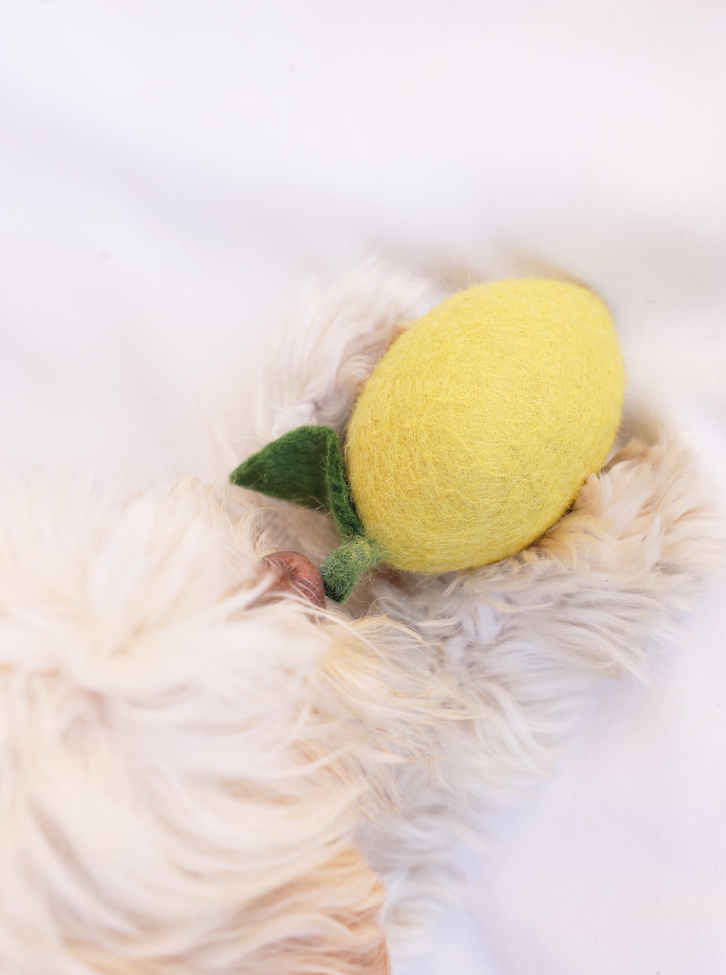 WOOL LEMON