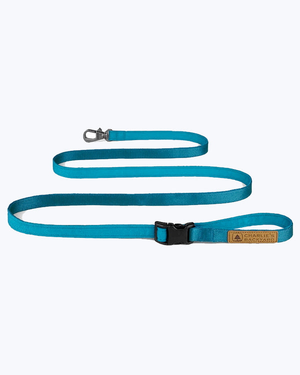 EASY LEASH by Charlie's Backyard