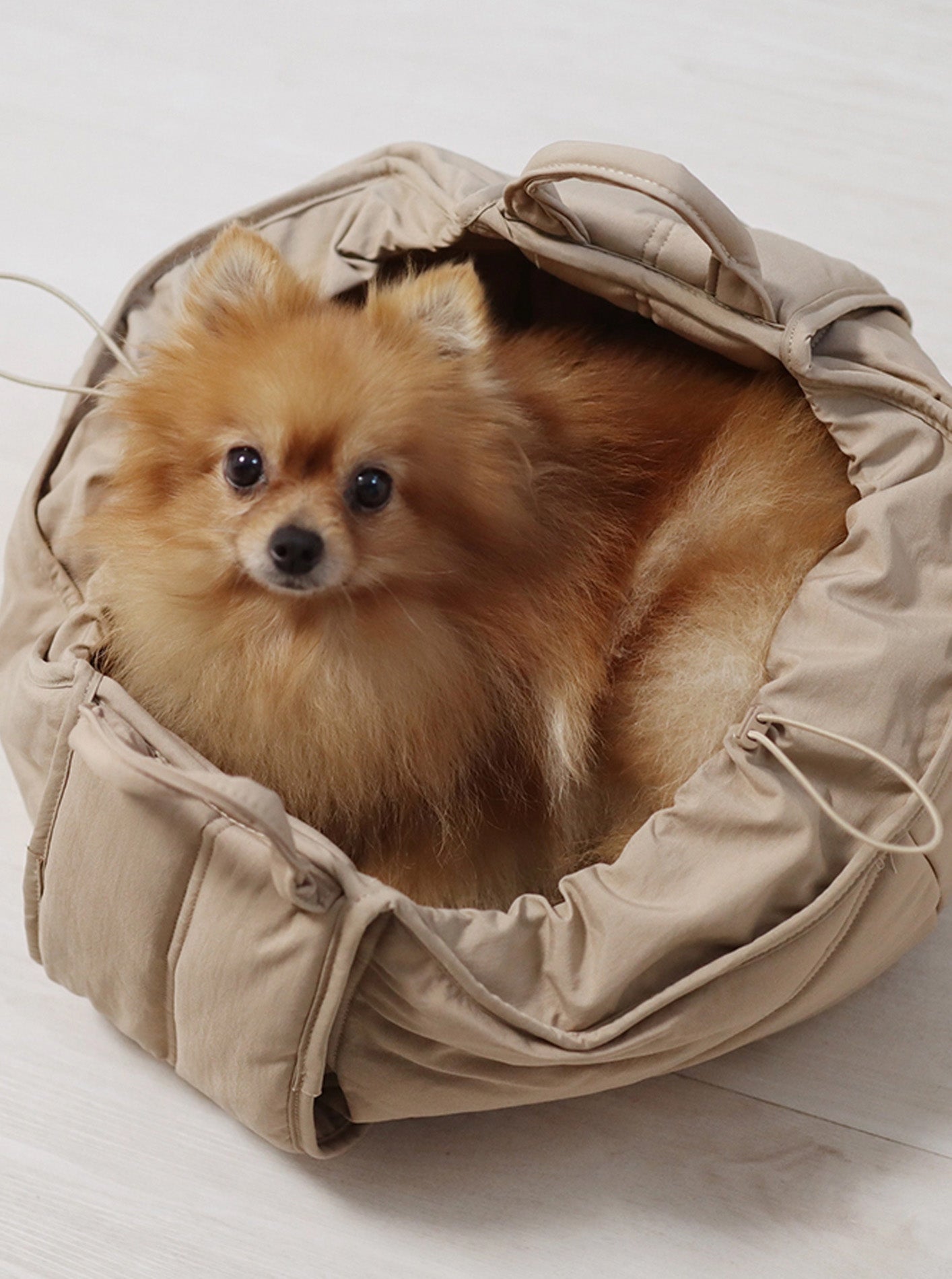 PET CARRIERS – MODERNBEAST