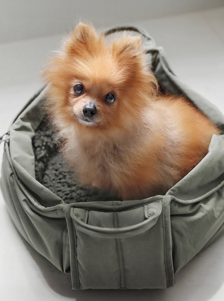 OLLA by Lambwolf Collective