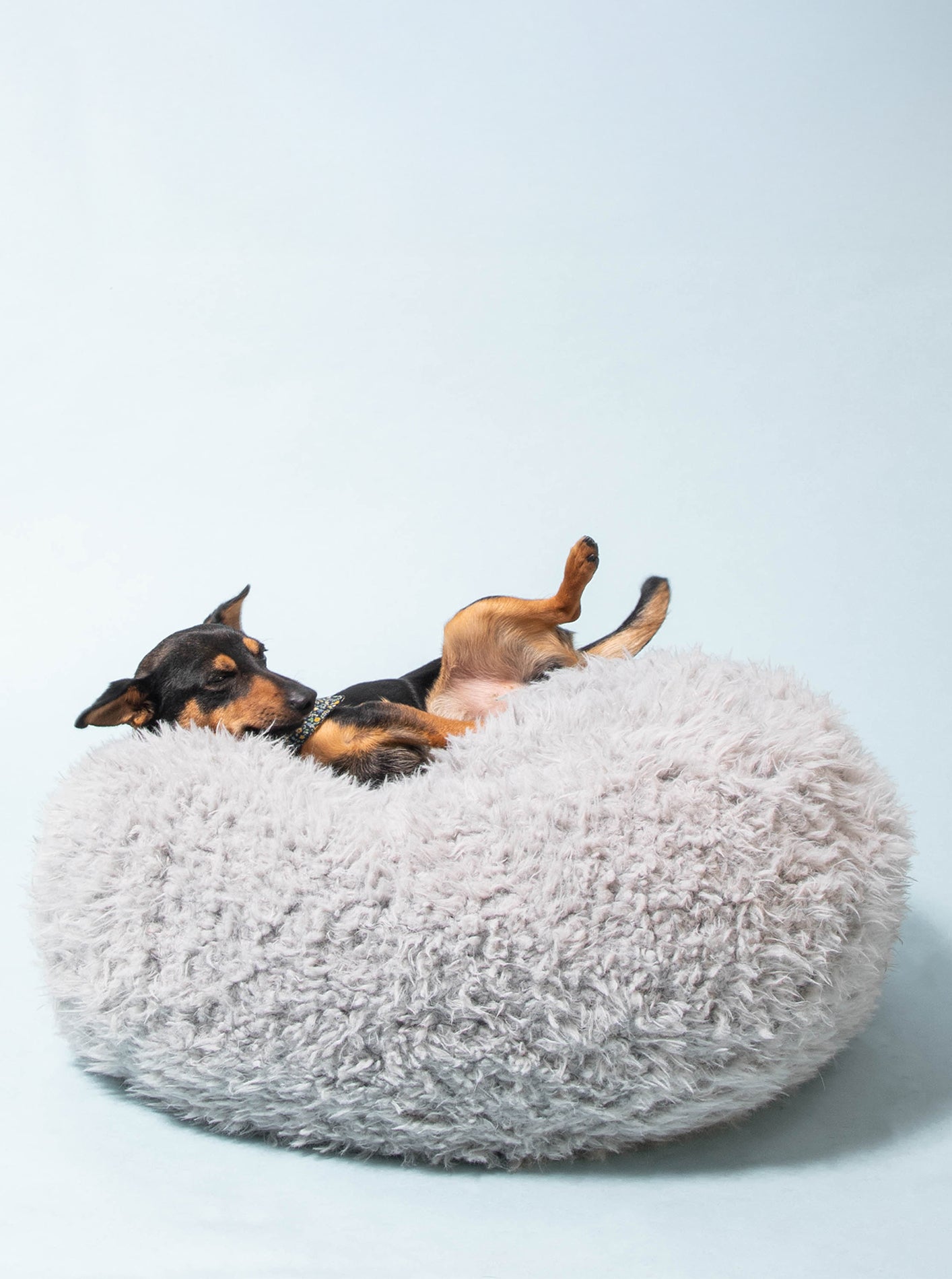 POD DOG BED – MODERNBEAST