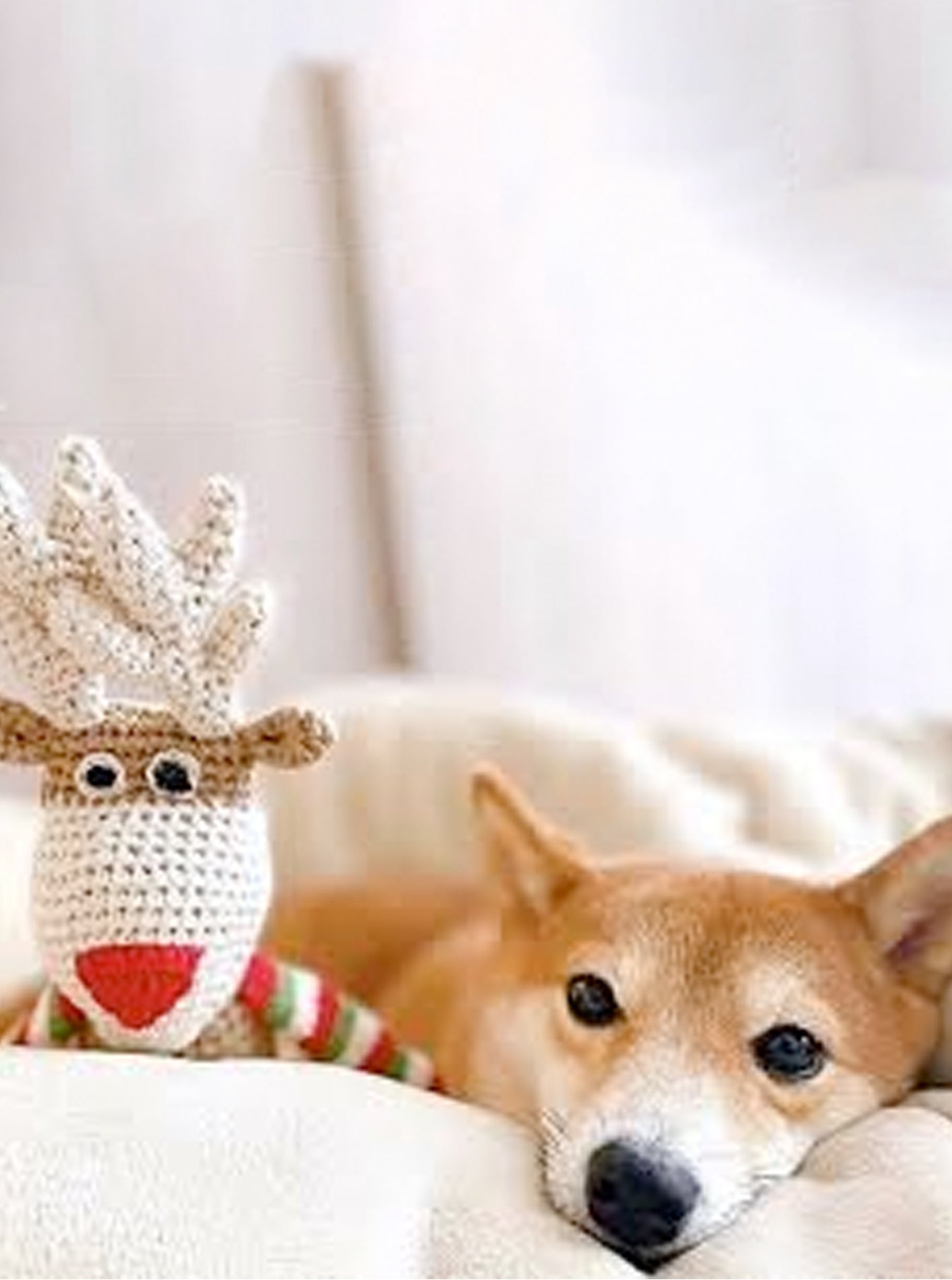 COTTON CROCHET REINDEER