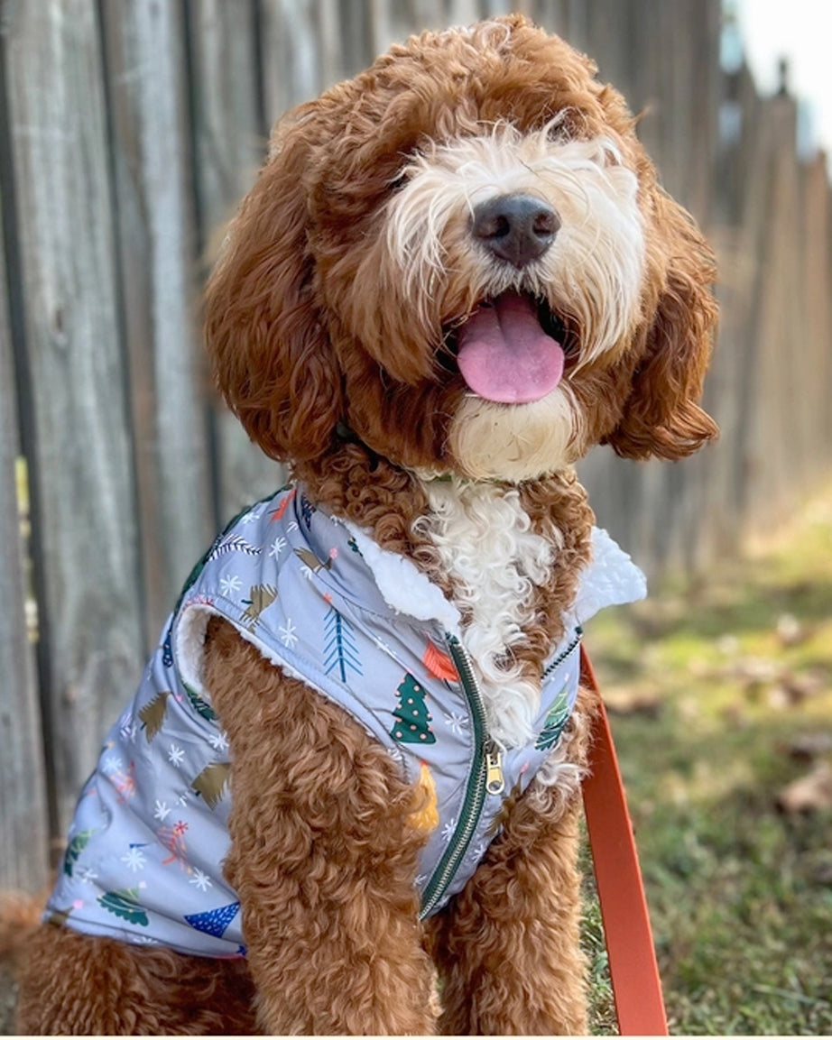 REVERSIBLE TEDDY VEST by Lucy & Co