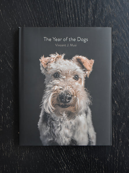 YEAR OF THE DOGS – MODERNBEAST