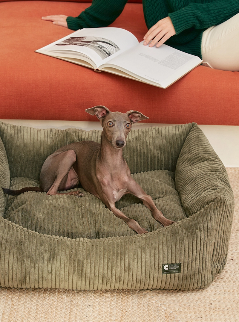 Corduroy Dog Bed