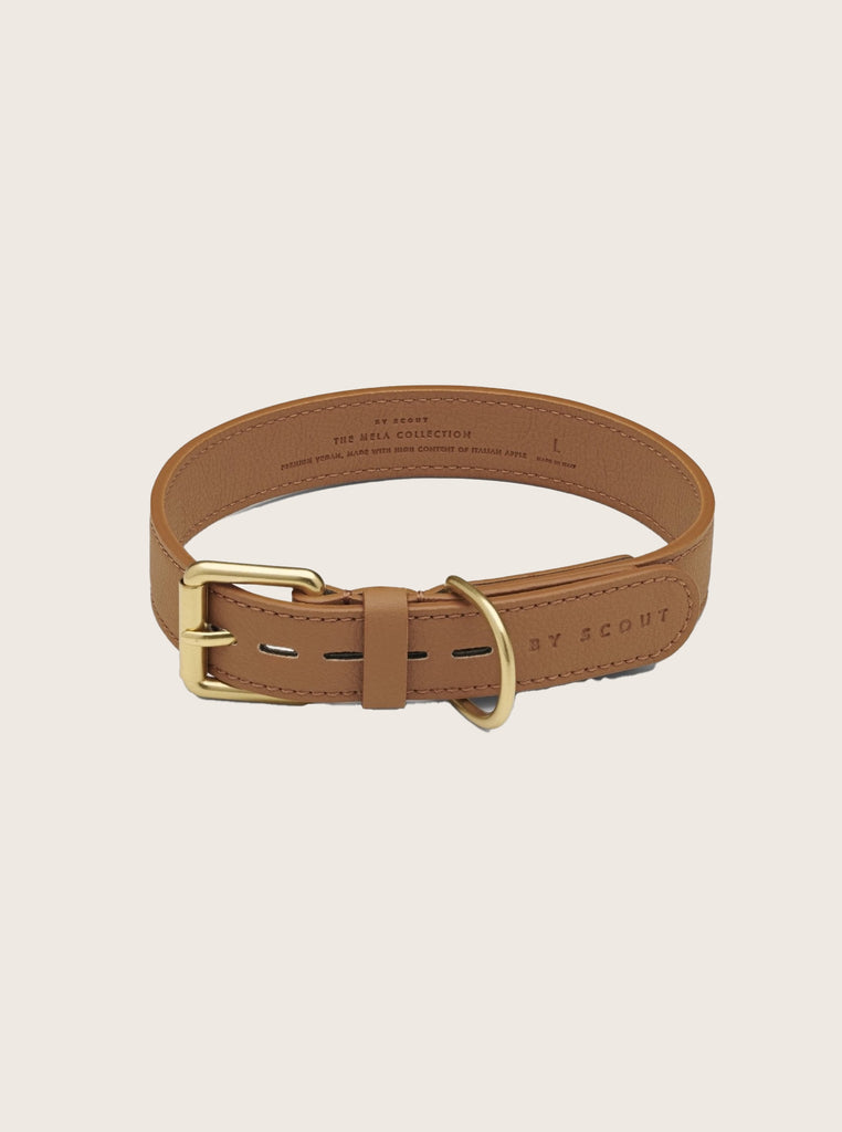 MELA BASIC DOG COLLAR by Scout