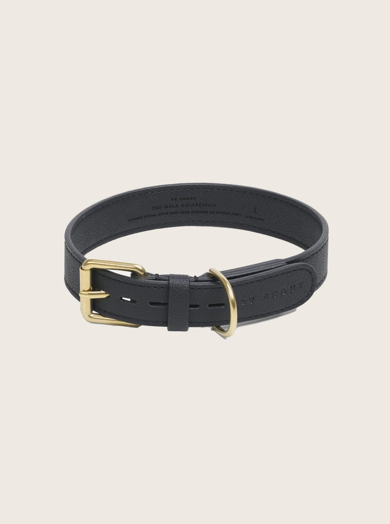 MELA BASIC DOG COLLAR by Scout
