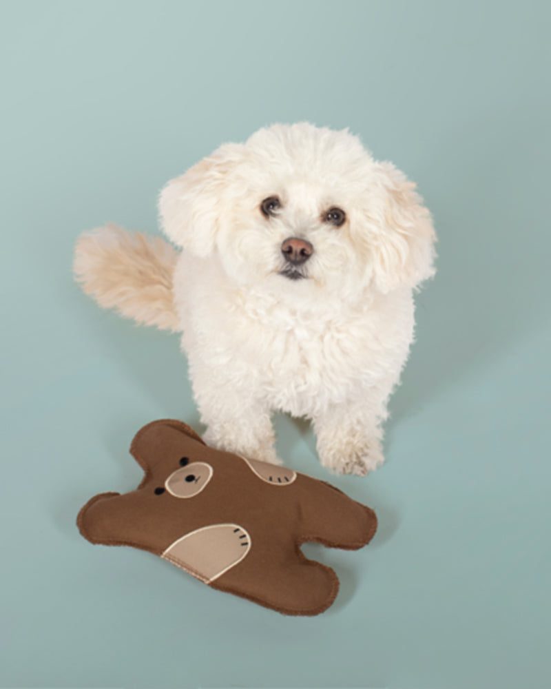 CANVAS BEAR DOG TOY BY FRINGE STUDIO. CUTE BEAR DESIGN AND HAS A SQUEAKER. PICTURED WITH A SMALL WHITE DOG.