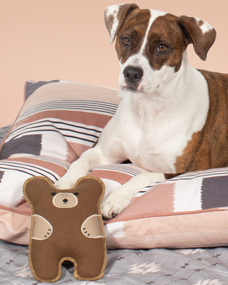 CANVAS BEAR DOG TOY BY FRINGE STUDIO. CUTE BEAR DESIGN AND HAS A SQUEAKER. SEEN WITH A LARGE DOG.