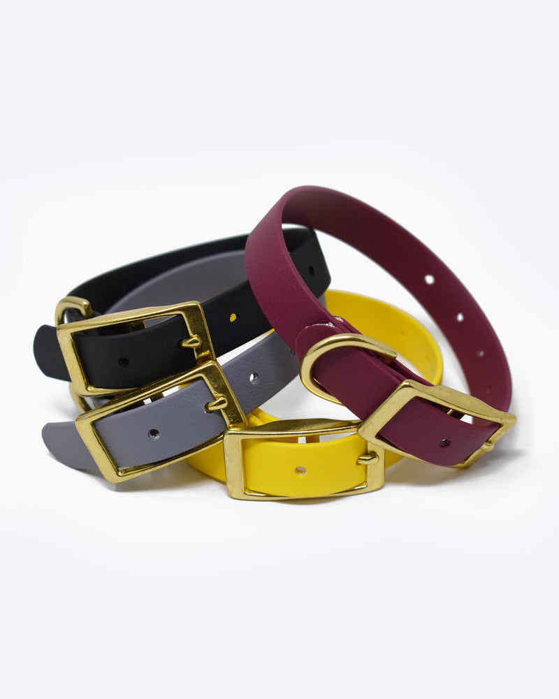 Purple, yellow, black, grey biothane collars with classic brass buckle.