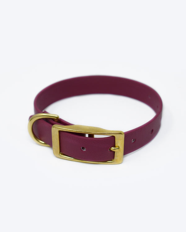 Purple biothane collar with classic brass buckle.