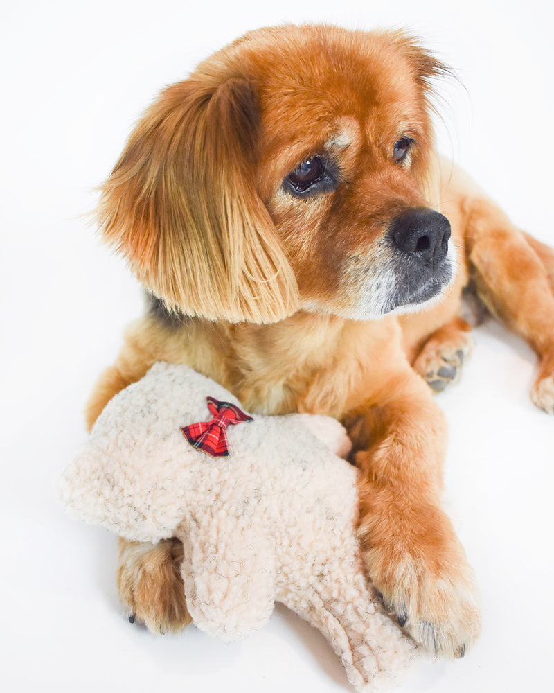 Dog Toy filled with 100% organic lavender to help calm your pet. Designed to give back 100%.
