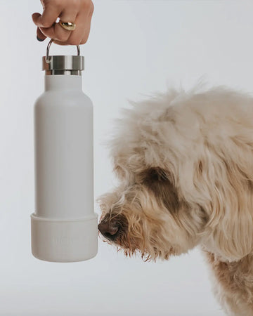 https://modernbeast.com/cdn/shop/products/DOGANDMEBOTTLE-4.jpg?v=1678906524&width=360