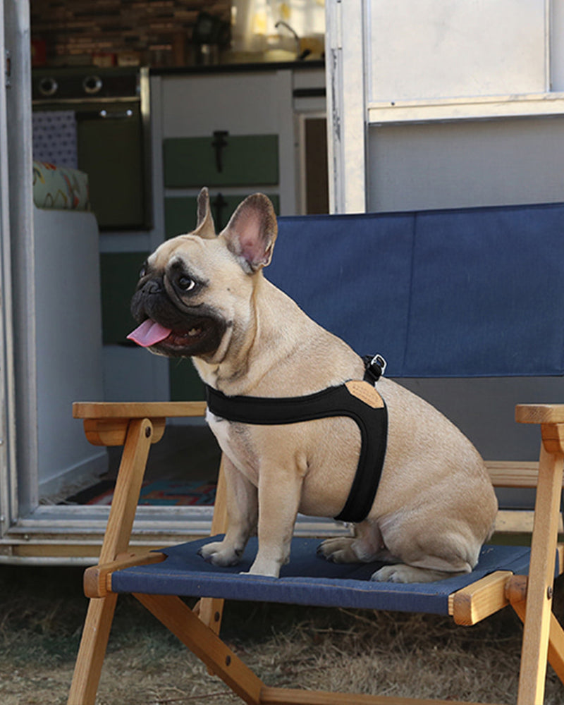 Easy dog harness by charlie's backyard. Black Small to X-Large. Shown on French Bulldog.