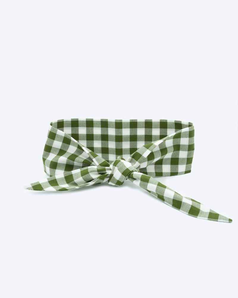 Dark green gingham necktie for dogs and cat. Like a rolled bandana but less fuss.