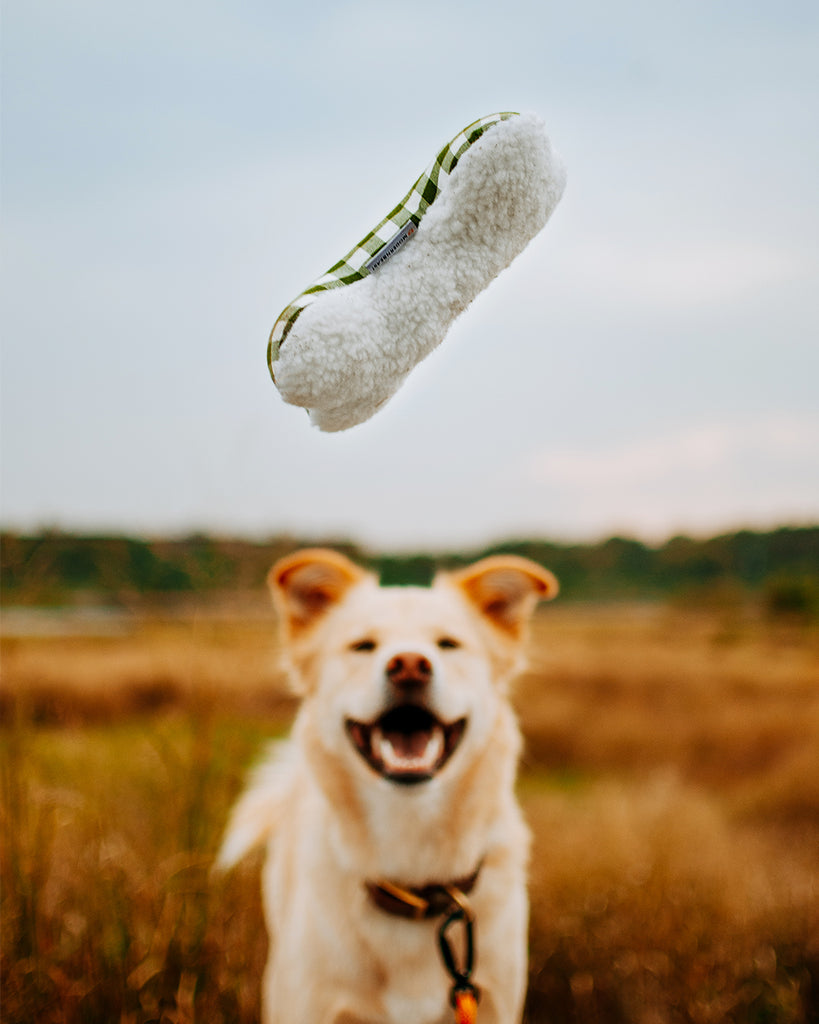 Dog Toy filled with 100% organic lavender to help calm your pet. Designed to give back 100%.