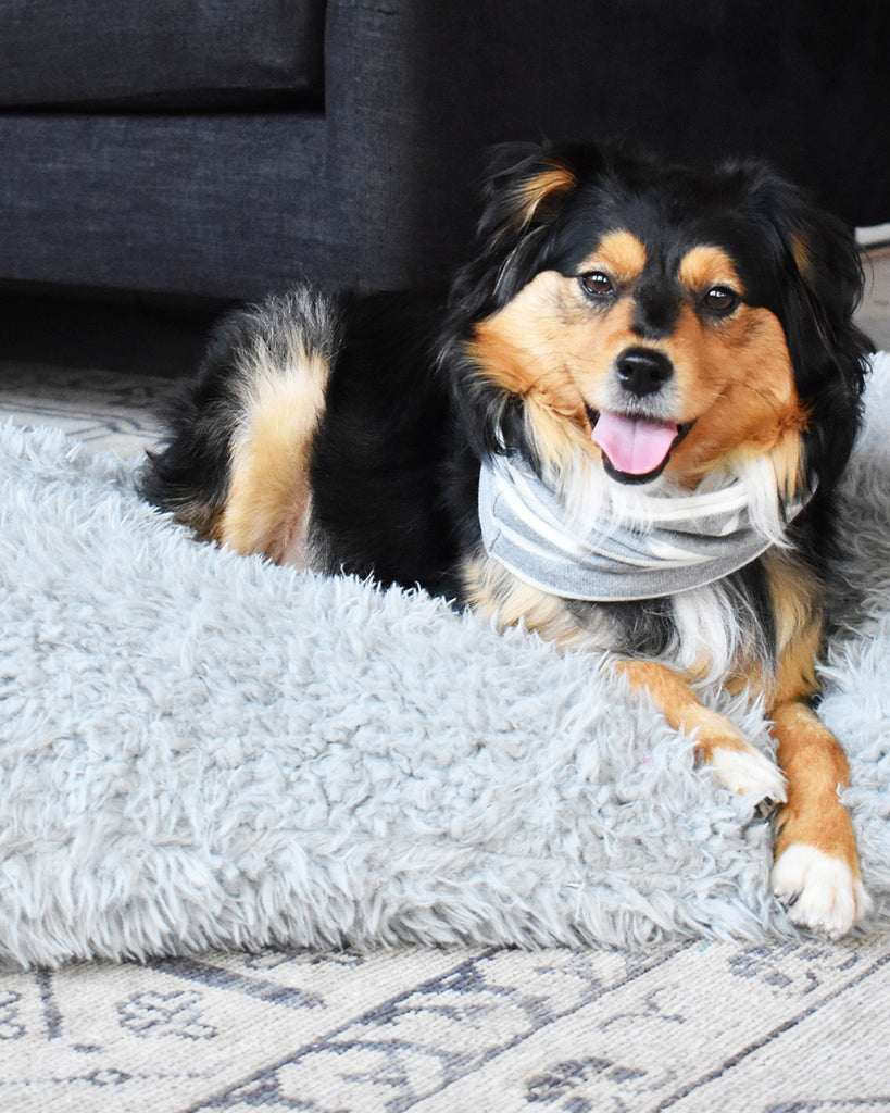 SNOOD FOR DOGS GREY AND WHITE STRIPES. TO KEEP DOGS WARM.