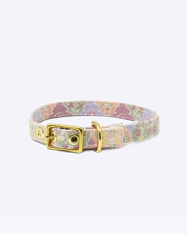 Floral pastel collar by honey paws walk leash dog flowers gold 