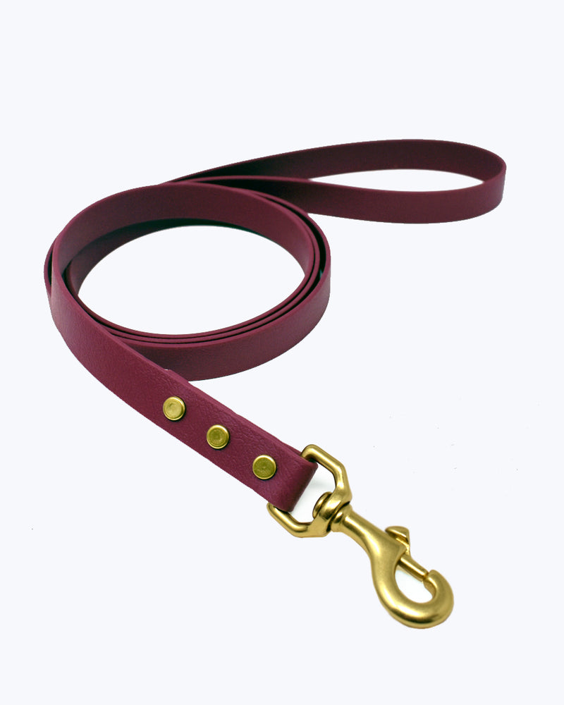 Purple biothane leash with classic brass buckle.