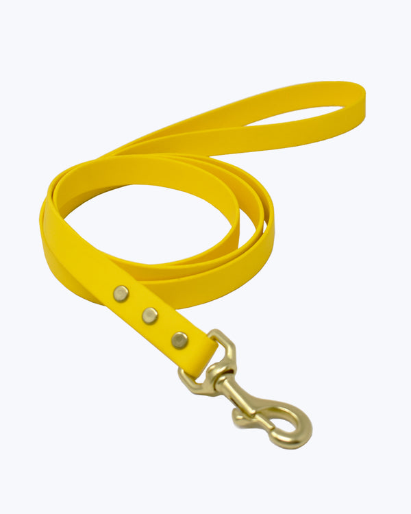 Yellow biothane leash with classic brass buckle.