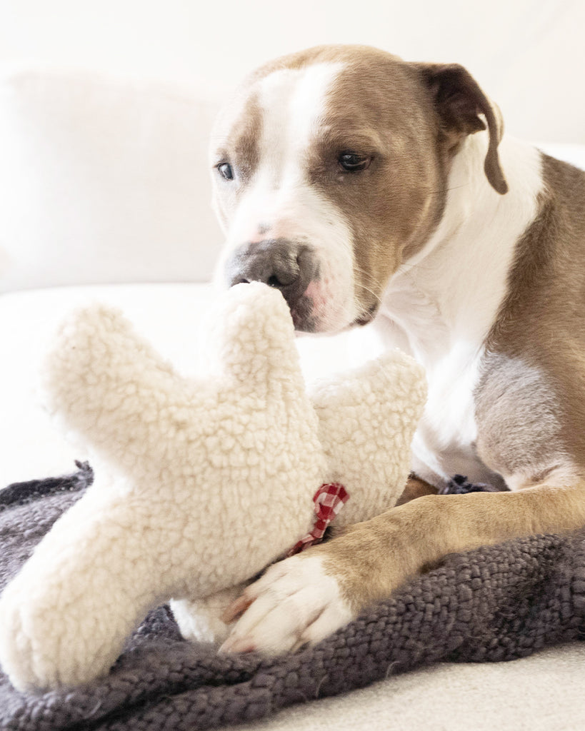 Plush Dog Toy filled with 100% organic lavender to help calm your pet. Wearing a berry gingham bowtie. Designed to give back 100%.