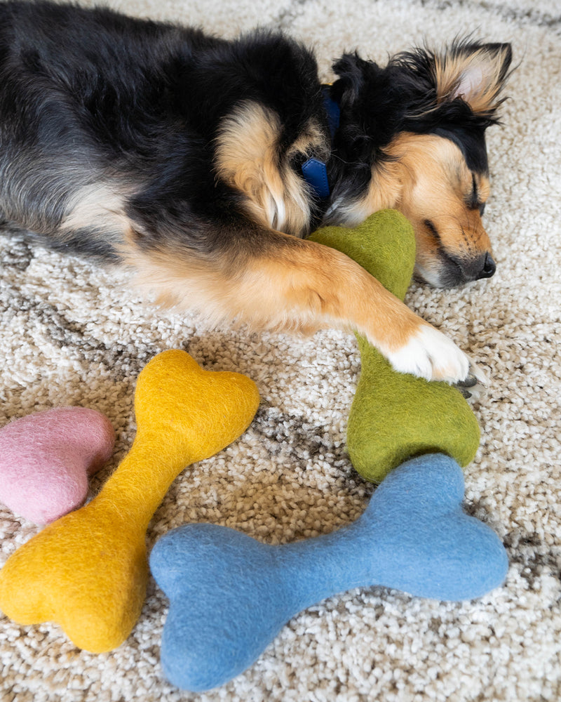 DOG BONE MADE OF 100% ORGANIC WOOL FELT DENSELY PACKED. ECO FRIENDLY. DURABLE. SMALL AND LARGE. GREEN, YELLOW, PINK, BLUE HELD BY AUSSIE MIX.