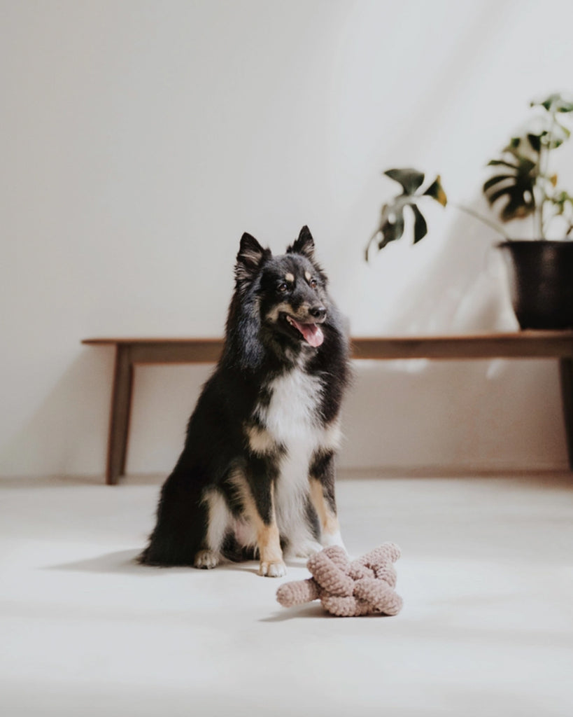 Tan corduroy NOU by Lambwolf Collective. Long rope toy tied into a knot. Shown with a fluffy brown and black dog.