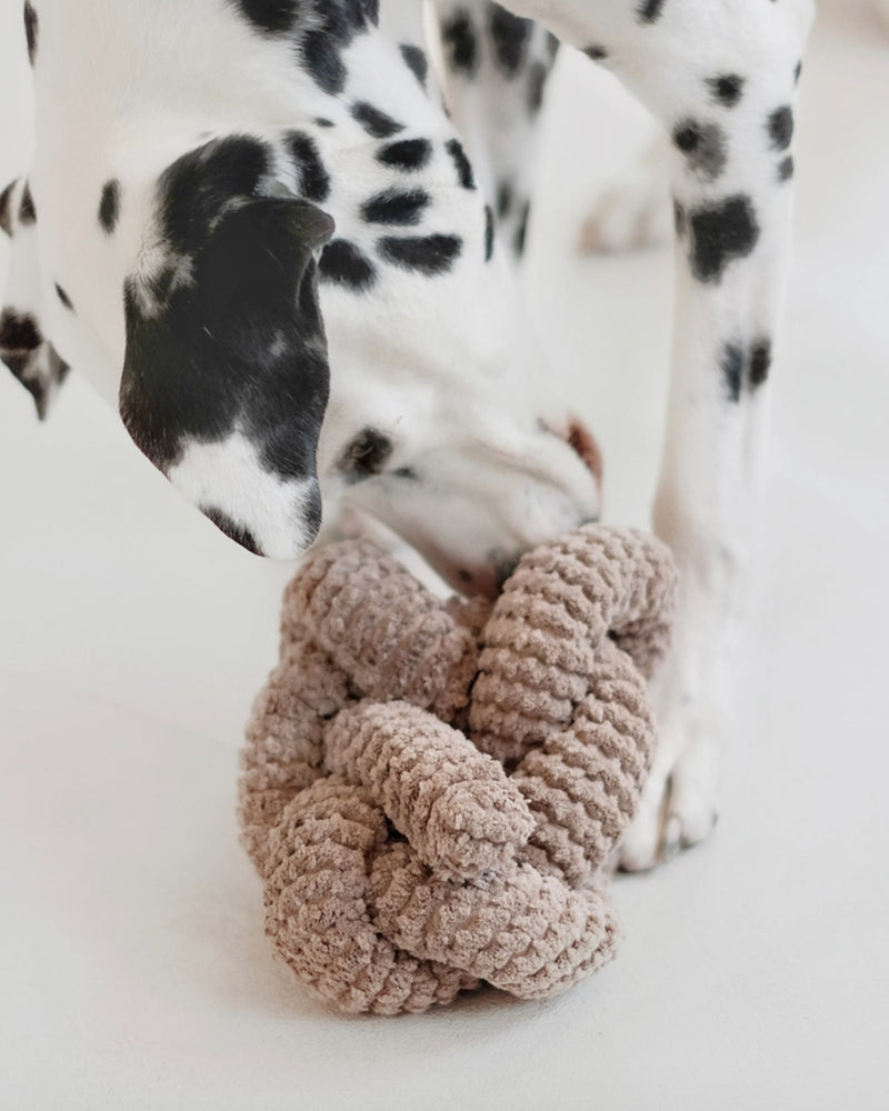 Tan corduroy NOU by Lambwolf Collective. Long rope toy tied into a knot. Shown with a Dalmatian. 
