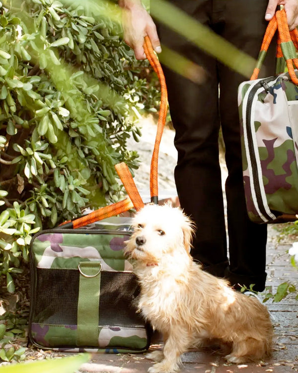 OUT-OF-OFFICE PET CARRIER by Roverlund