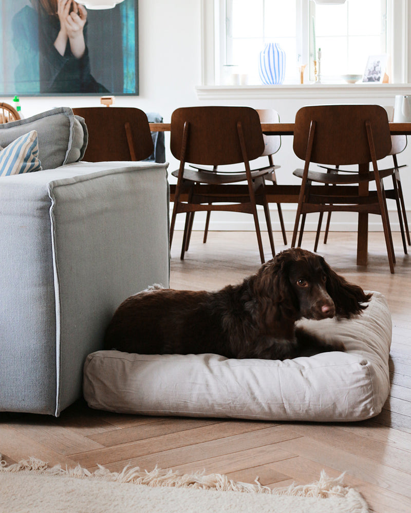 Light grey neutral rectangular dog bed. Fluffy brown puppy lying on bed.