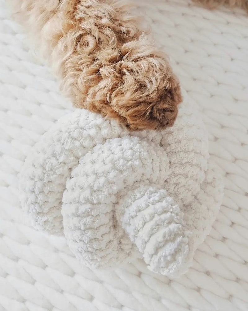 Cream corduroy NOU by Lambwolf Collective. Long rope toy tied into a knot. A poodle has its paw on the NOU. 