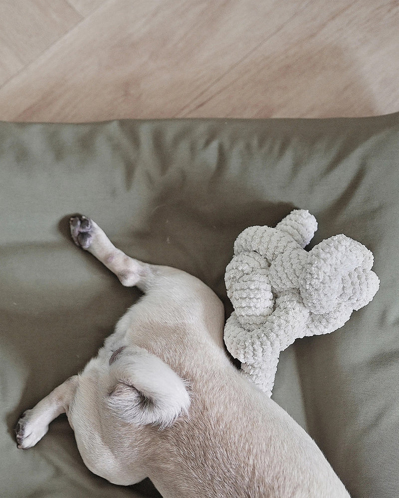 Cream corduroy NOU by Lambwolf Collective. Long rope toy tied into a knot. Shown with a Pug.