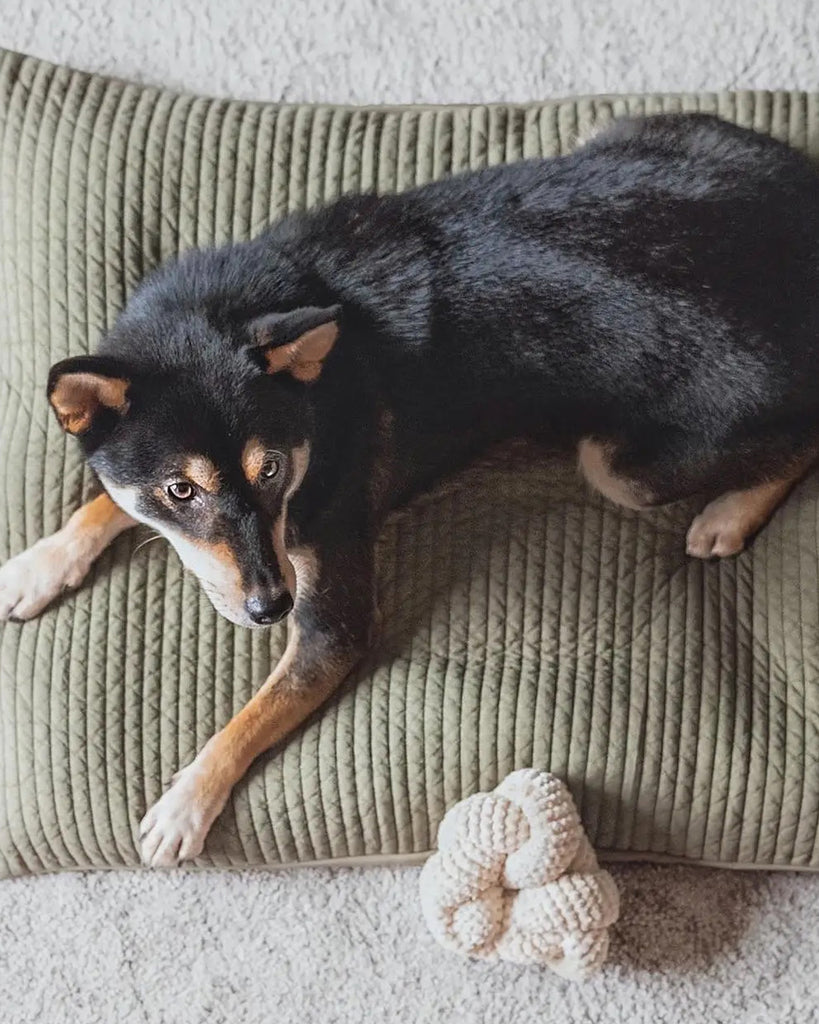 Tan corduroy NOU by Lambwolf Collective. Long rope toy tied into a knot. Shown with a black and brown dog.