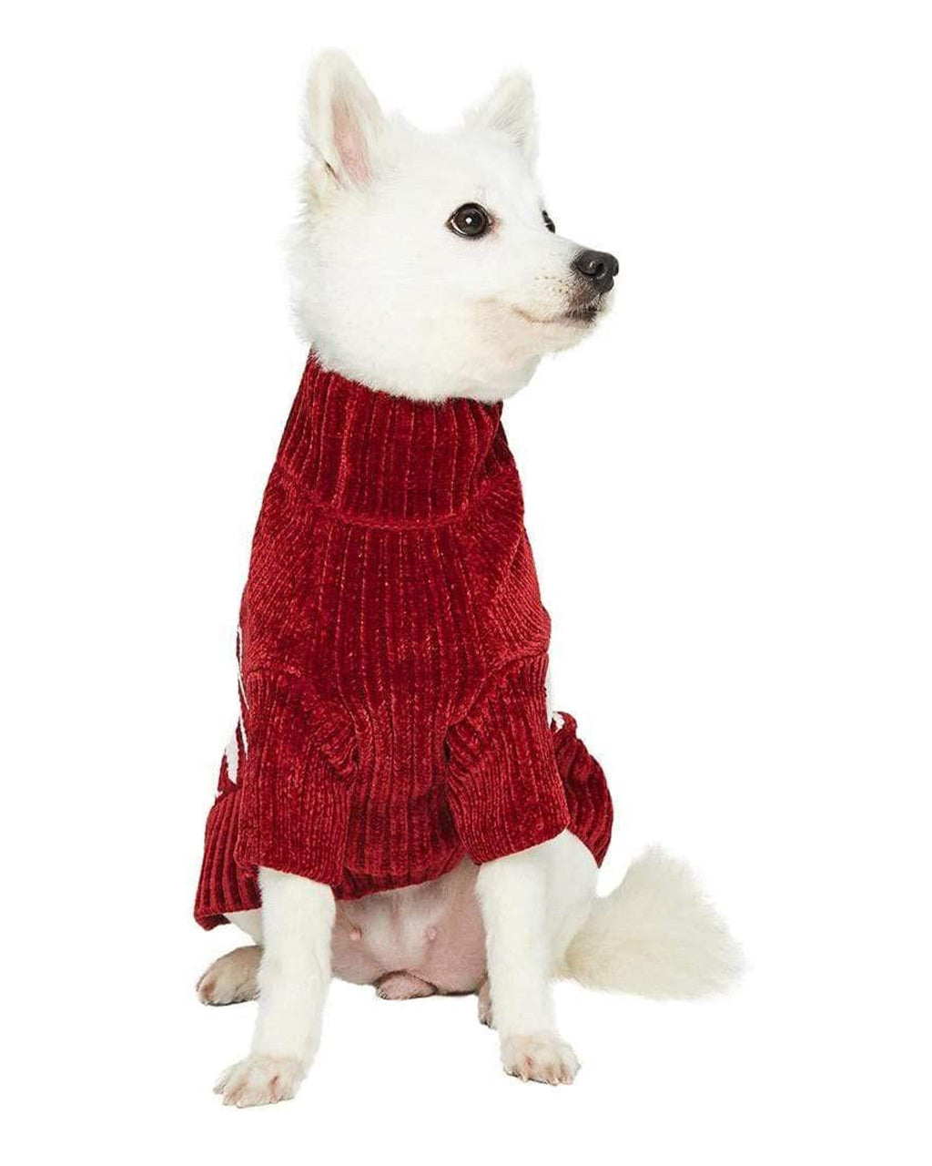 FESTIVE STRIPED SWEATER by Blueberry Pet