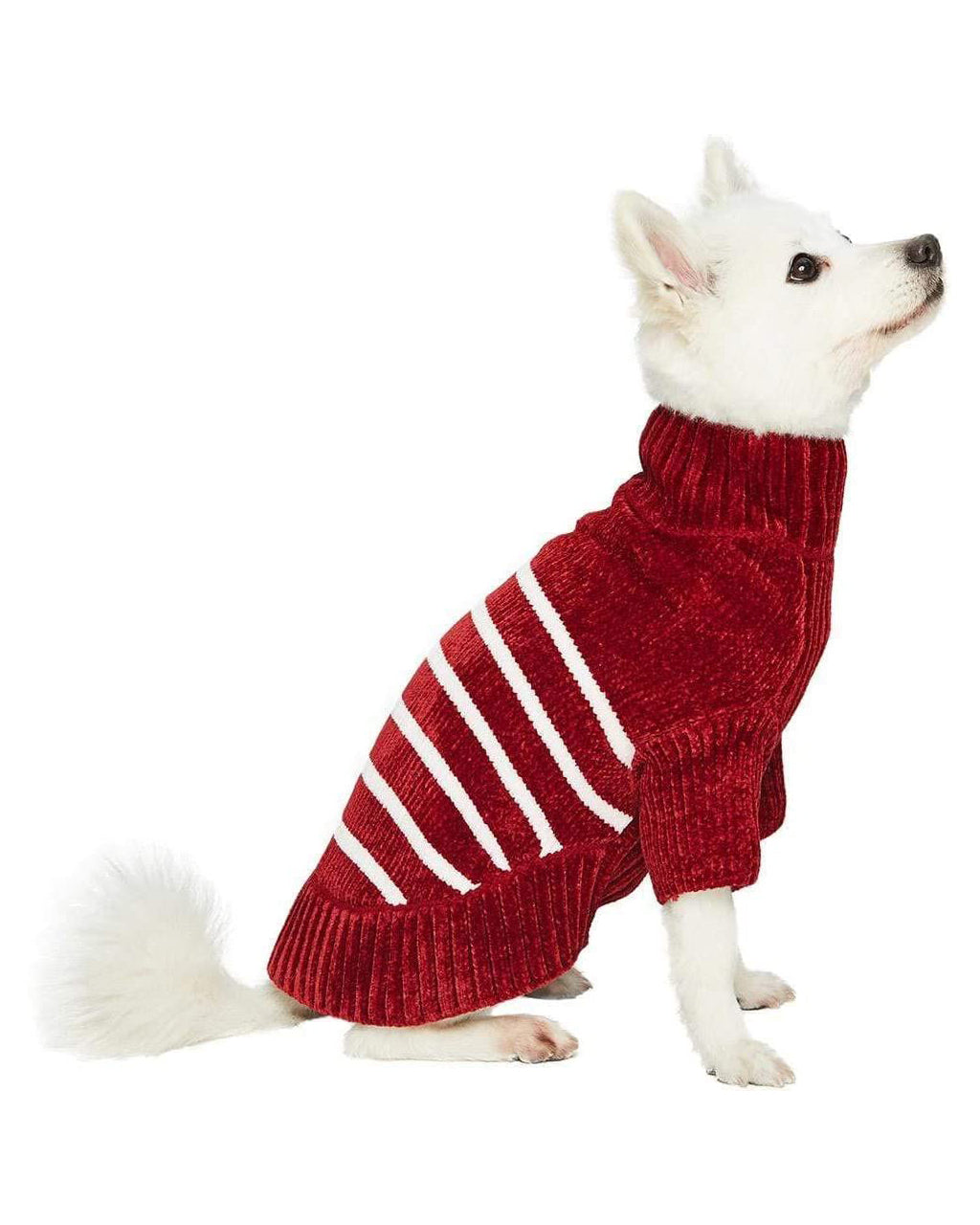 FESTIVE STRIPED SWEATER by Blueberry Pet