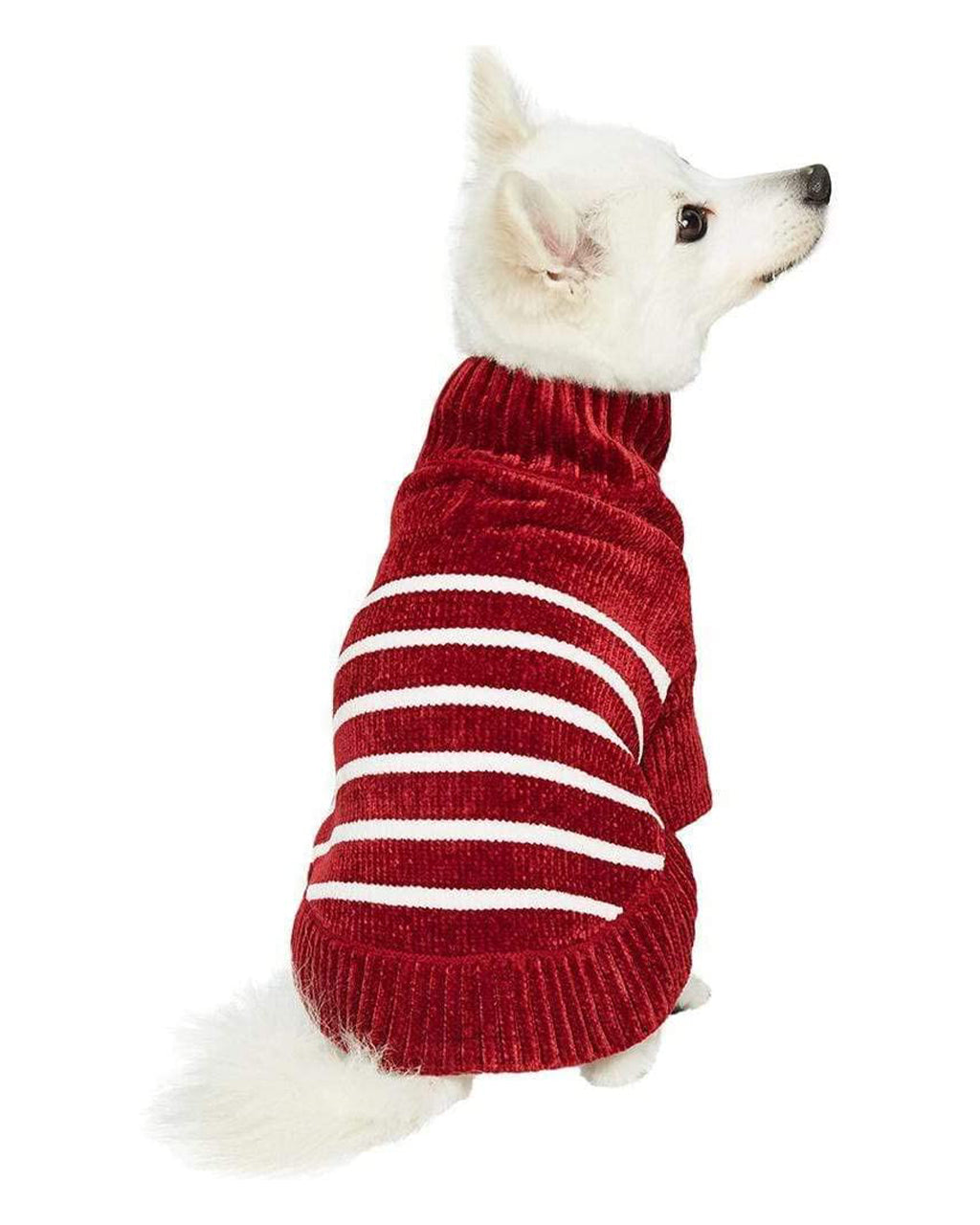 FESTIVE STRIPED SWEATER by Blueberry Pet