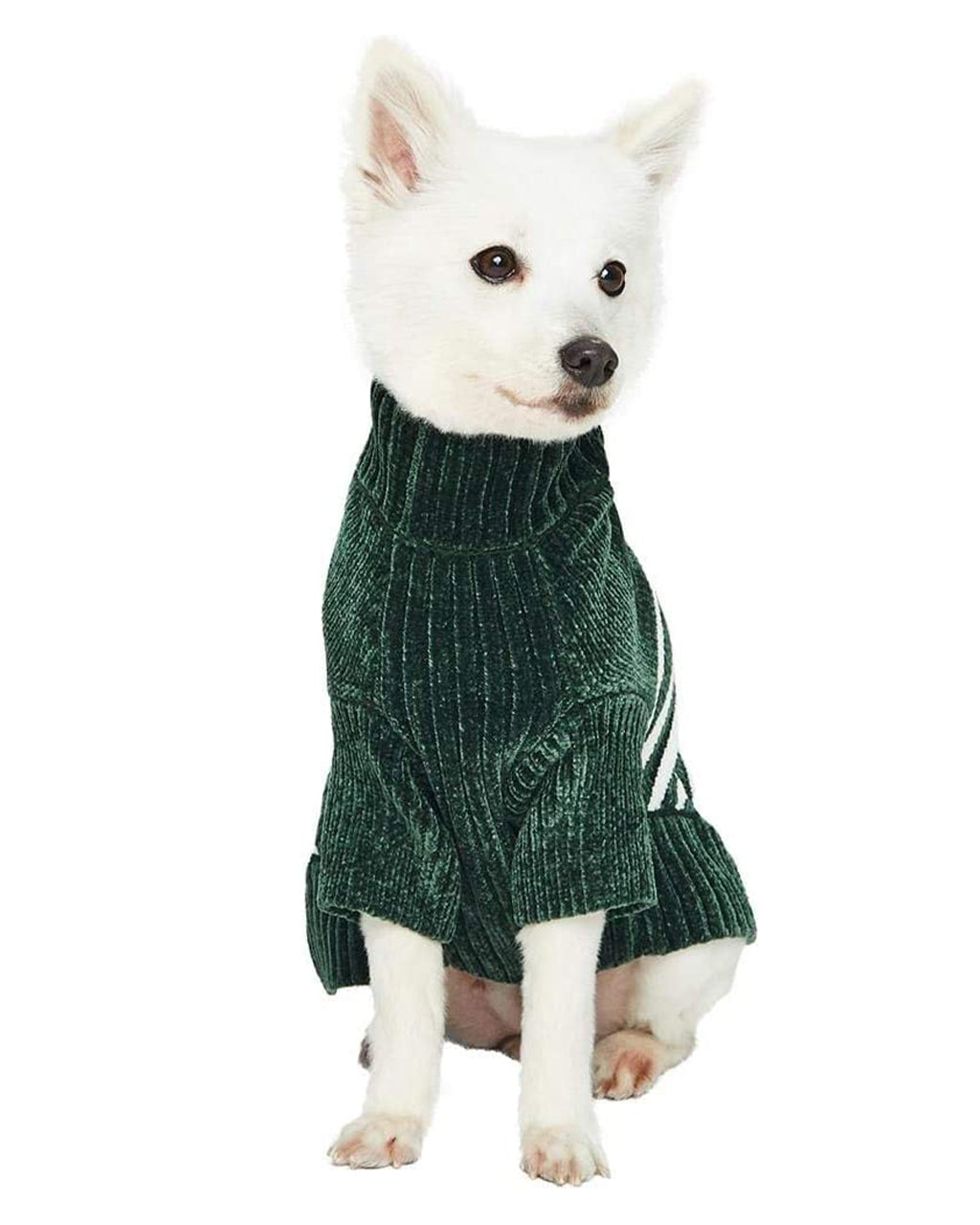 FESTIVE STRIPED SWEATER by Blueberry Pet